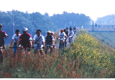 江戸川・利根運河のサイクリングロードの写真