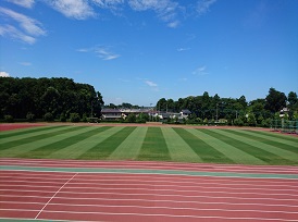 陸上競技場の写真