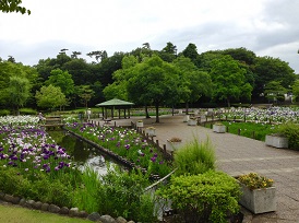 水生植物園の写真