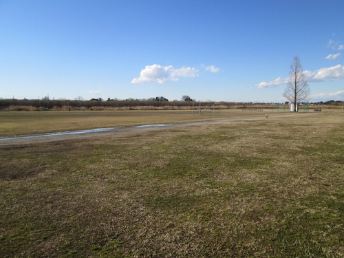 江戸川河川敷運動広場 野田市ホームページ