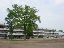 福田第一小学校の外観写真