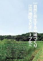 グラフ野田平成20年度ナンバー41：3ページ目