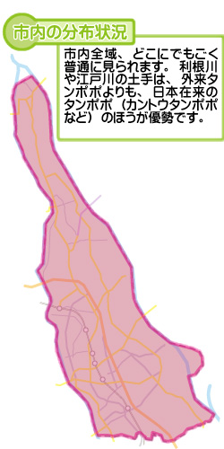 市内の分布状況の図。