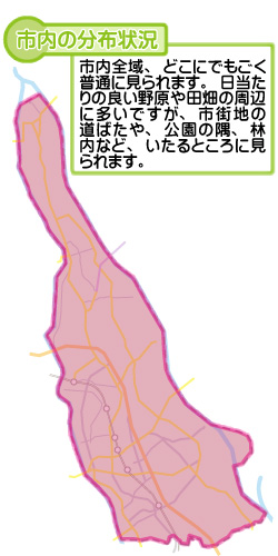 市内の分布状況の図