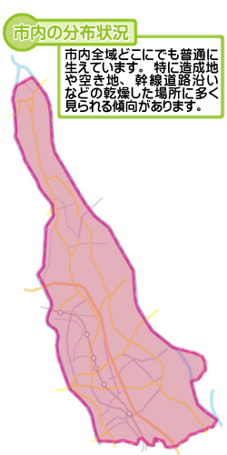 市内の分布状況の図