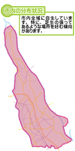 市内の分布状況の図