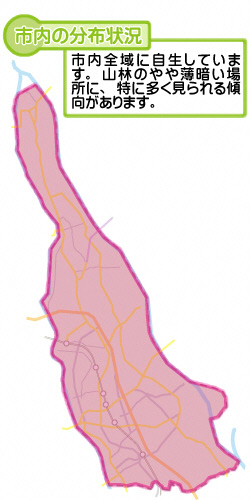 市内の分布状況の図