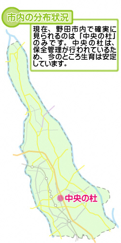 市内の分布状況の図