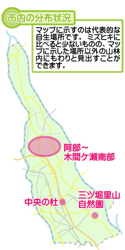 市内の分布状況の図