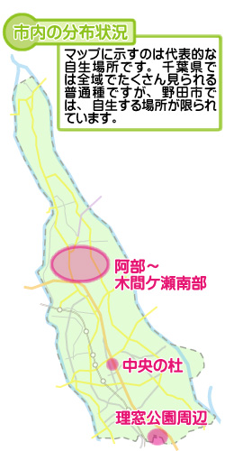 市内の分布状況の図