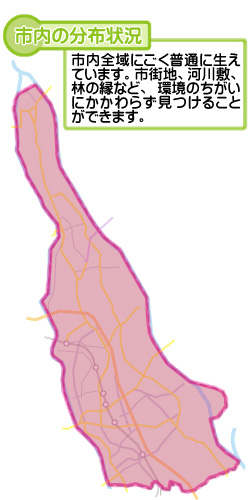 市内の分布状況の図