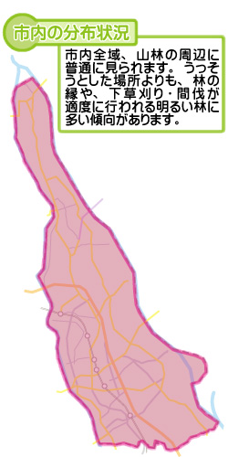 市内の分布状況の図