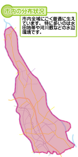 市内の分布状況の図