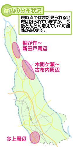 市内の分布状況の図