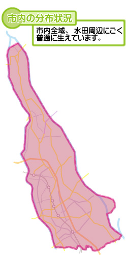 市内の分布状況の図