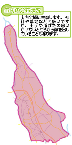 市内の分布状況の図