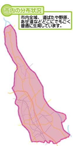 市内の分布状況の図