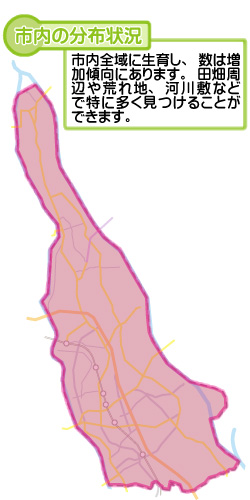 市内の分布状況の図