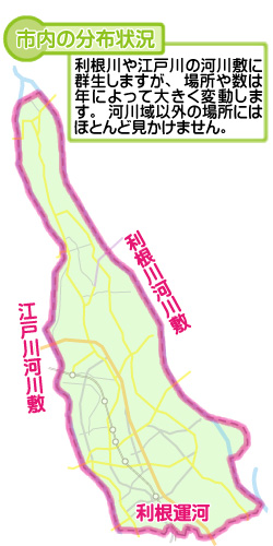 市内の分布状況の図