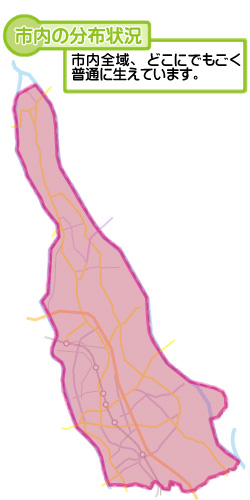 市内の分布状況の図