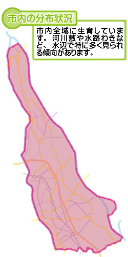 市内の分布状況の図