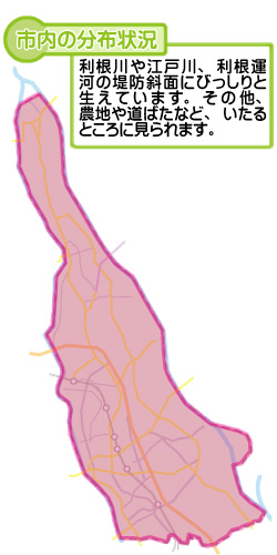 市内の分布状況の図