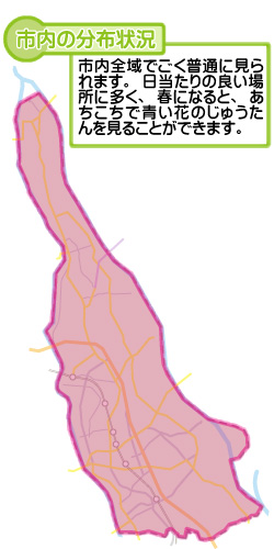 市内の分布状況の図