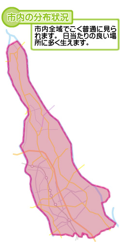 市内の分布状況の図