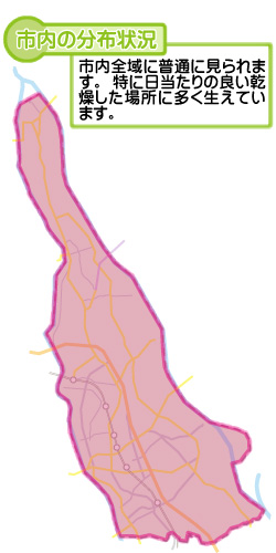 市内の分布状況の図