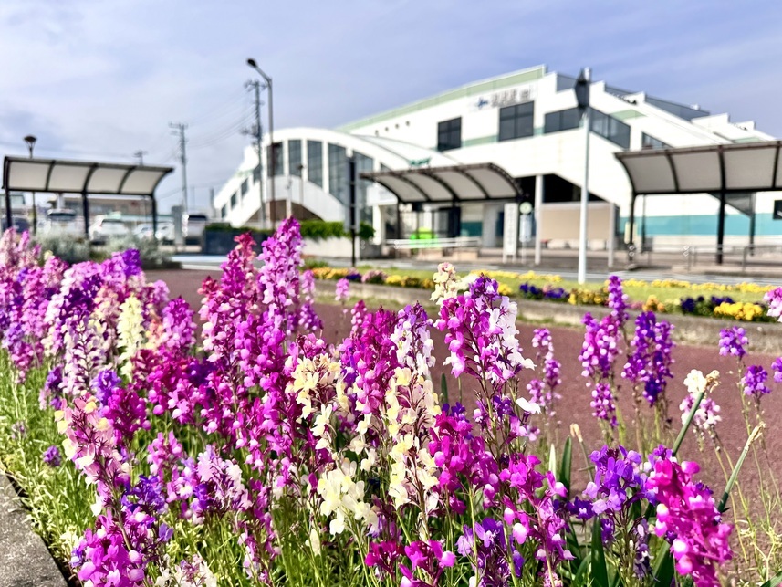 花壇の写真