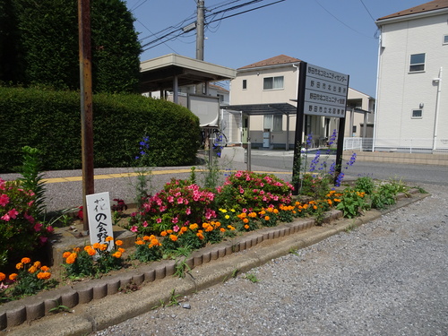 花壇の写真