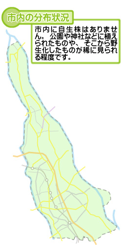 市内の分布状況の図