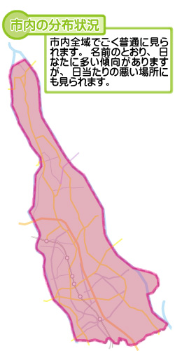 市内の分布状況の図