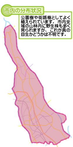 市内の分布状況の図
