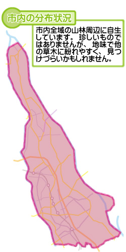 市内の分布状況の図