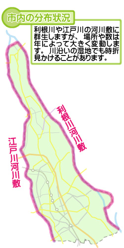 市内の分布状況の図