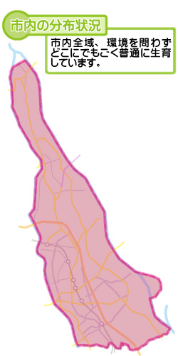 市内の分布状況の図