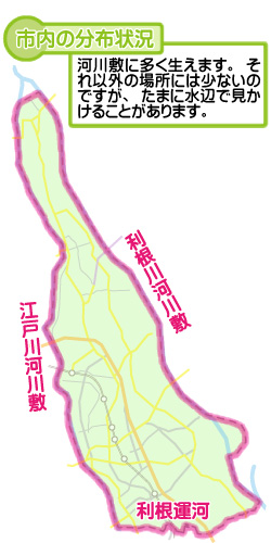 市内の分布状況の図