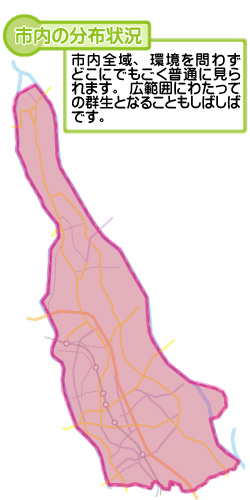 市内の分布状況の図