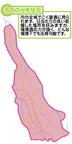 市内の分布状況の図