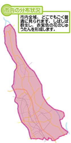 市内の分布状況の図