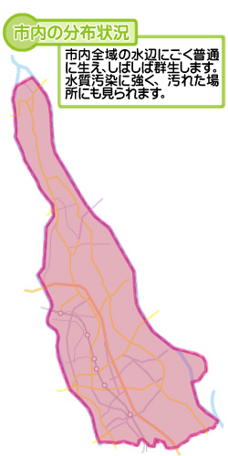 市内の分布状況の図