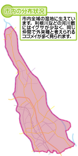 市内の分布状況の図