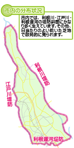 市内の分布状況の図