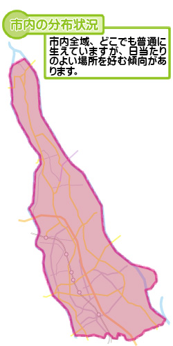 市内の分布状況の図