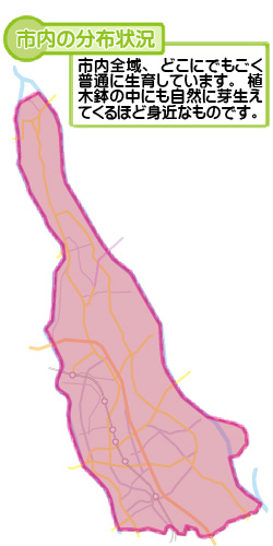 市内の分布状況の図