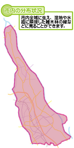 市内の分布状況の図