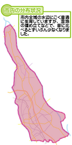 市内の分布状況の図