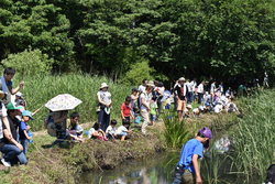 大勢の参加者