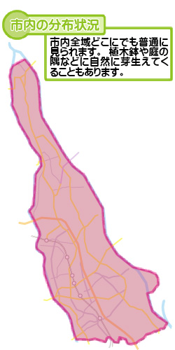 市内の分布状況の図